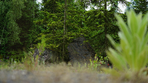 48